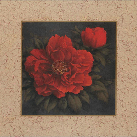 Red Carnation with Border I Gold Ornate Wood Framed Art Print with Double Matting by Unknown