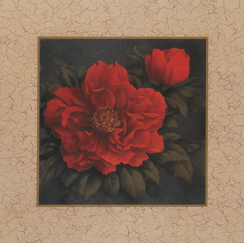 Red Carnation with Border I White Modern Wood Framed Art Print with Double Matting by Unknown