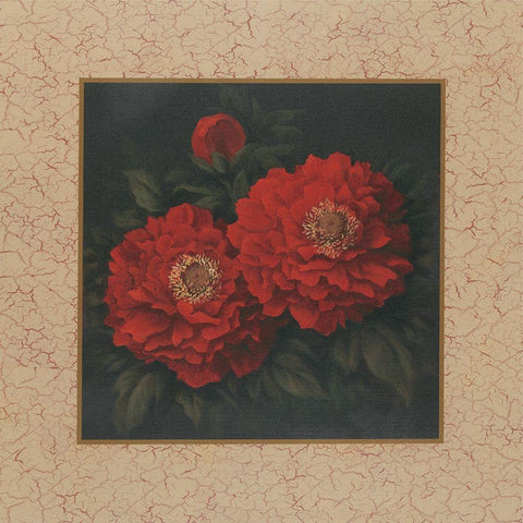Red Carnation with Border II White Modern Wood Framed Art Print with Double Matting by Unknown
