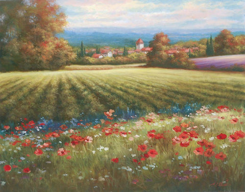 Fields of Provence I White Modern Wood Framed Art Print with Double Matting by Unknown