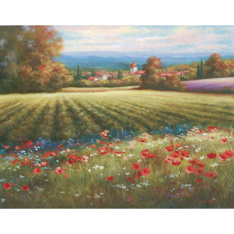 Fields of Provence I White Modern Wood Framed Art Print by Unknown