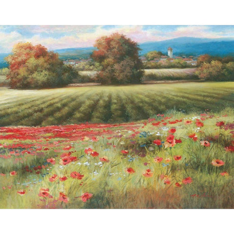 Pields of Provence II Black Modern Wood Framed Art Print by Unknown