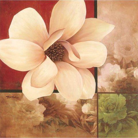 Magnolia Collage White Modern Wood Framed Art Print by Unknown