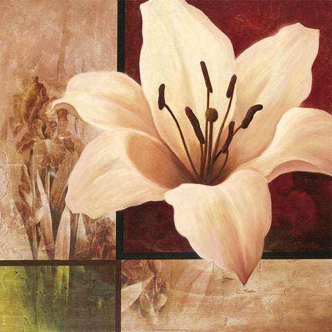 Lily Collage Black Modern Wood Framed Art Print by Unknown