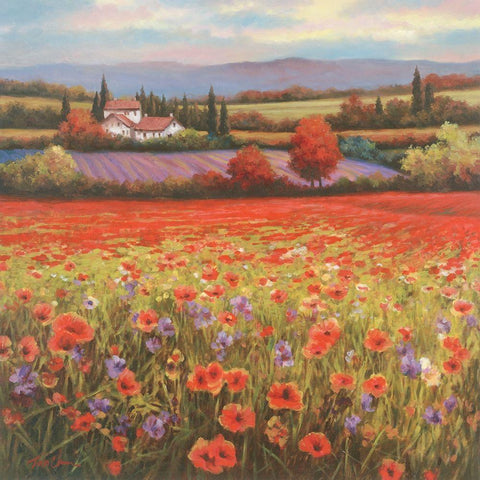 Poppy Pastures I White Modern Wood Framed Art Print with Double Matting by Unknown