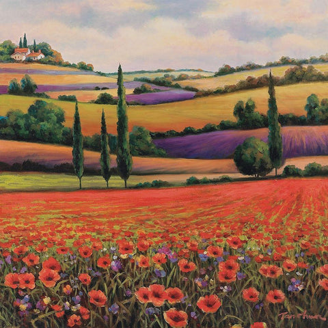 Fields of Poppies I White Modern Wood Framed Art Print by Unknown