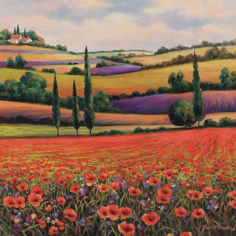 Fields of Poppies I White Modern Wood Framed Art Print with Double Matting by Unknown
