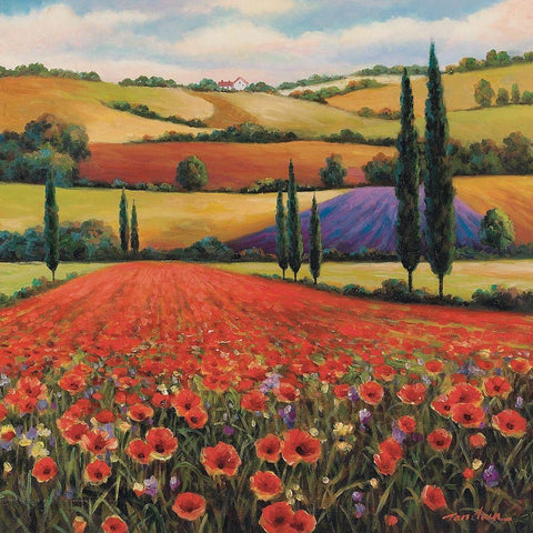 Fields of Poppies II White Modern Wood Framed Art Print with Double Matting by Unknown