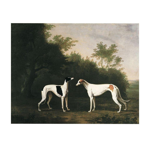 Two Greyhounds White Modern Wood Framed Art Print by Unknown