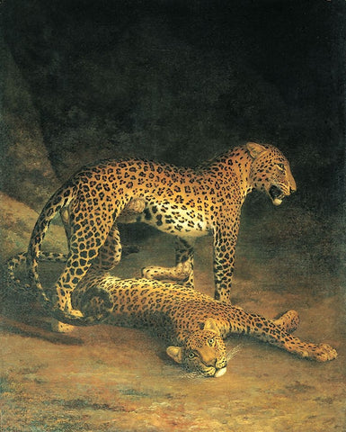 Leopards Black Ornate Wood Framed Art Print with Double Matting by Unknown