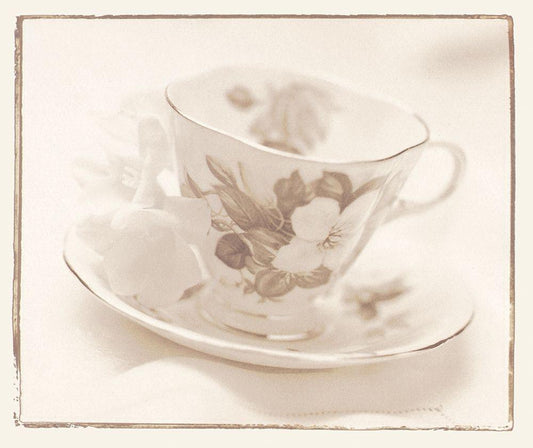 Image Only