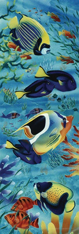 Angel Fish I White Modern Wood Framed Art Print with Double Matting by Unknown