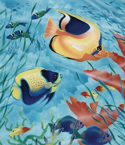 Exotic Fish III White Modern Wood Framed Art Print with Double Matting by Unknown