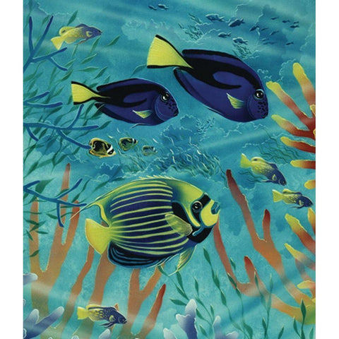 Exotic Fish II White Modern Wood Framed Art Print by Unknown