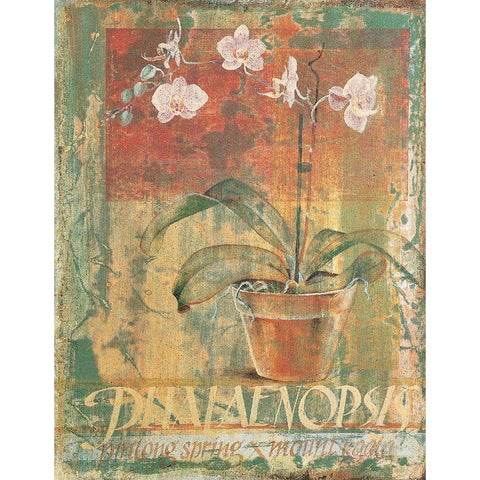 Potted White II Black Modern Wood Framed Art Print with Double Matting by Unknown