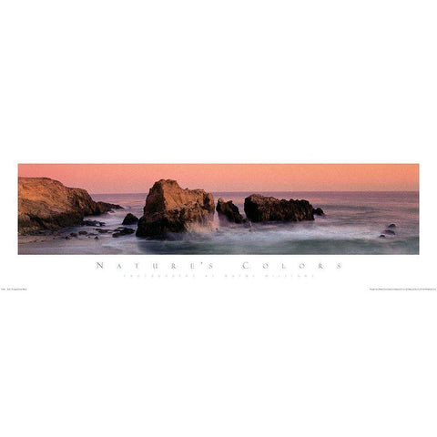 Rocks on Shore Gold Ornate Wood Framed Art Print with Double Matting by Unknown