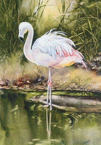 Flamingo White Modern Wood Framed Art Print with Double Matting by Unknown
