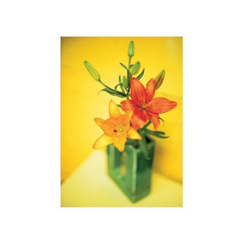 Day Lilies White Modern Wood Framed Art Print by Frontline