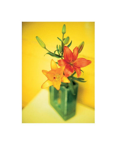 Day Lilies White Modern Wood Framed Art Print with Double Matting by Frontline