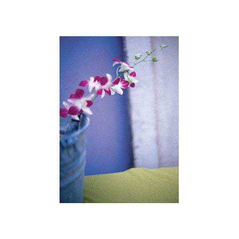 Orchids  White Modern Wood Framed Art Print by Frontline