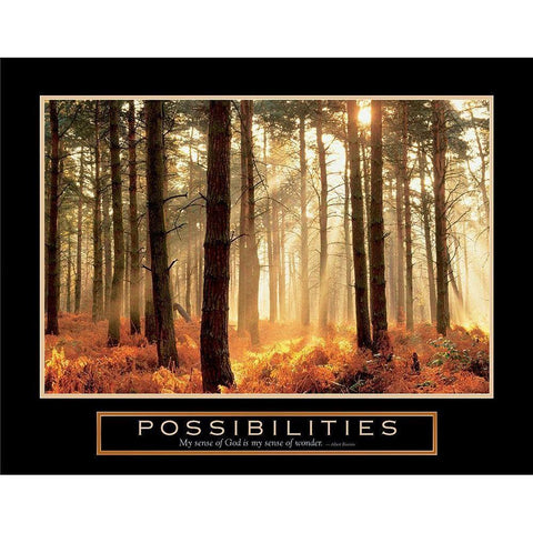 Possibilities - Sunlight Streams Gold Ornate Wood Framed Art Print with Double Matting by Frontline