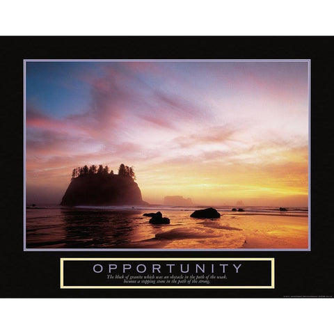 Opportunity Seashore Gold Ornate Wood Framed Art Print with Double Matting by Unknown