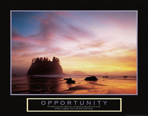 Opportunity Seashore Black Ornate Wood Framed Art Print with Double Matting by Unknown
