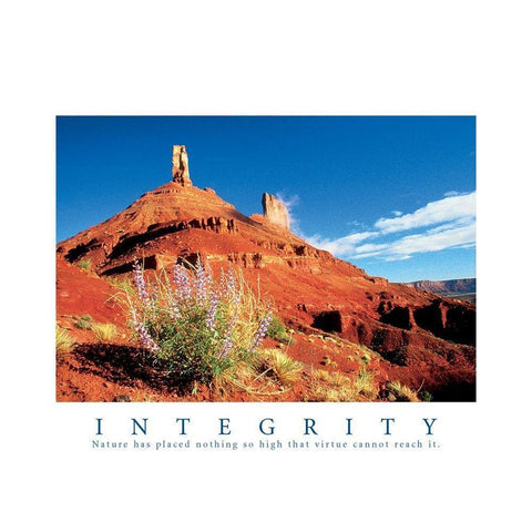 Integrity - Natiure Black Modern Wood Framed Art Print with Double Matting by Frontline