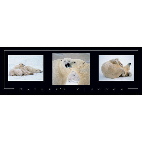Polar Bears Tryp Gold Ornate Wood Framed Art Print with Double Matting by Unknown