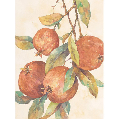 Hanging Fruit White Modern Wood Framed Art Print by Unknown