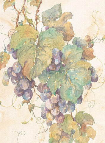 Hanging Grapes Black Ornate Wood Framed Art Print with Double Matting by Unknown