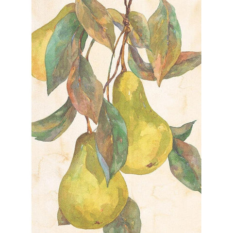 Hanging Pears Gold Ornate Wood Framed Art Print with Double Matting by Unknown