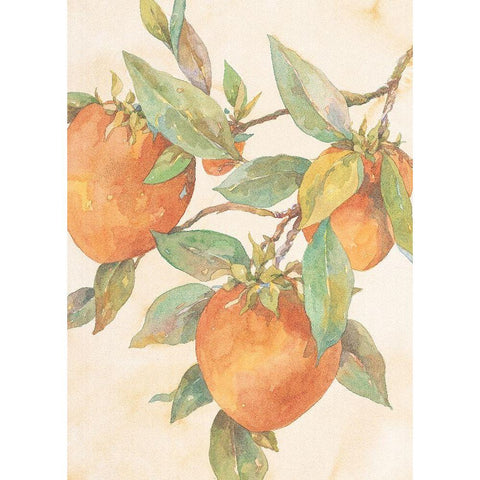 Hanging Peaches Black Modern Wood Framed Art Print with Double Matting by Unknown