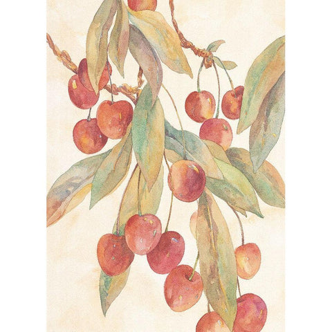 Hanging Cherries Black Modern Wood Framed Art Print with Double Matting by Unknown