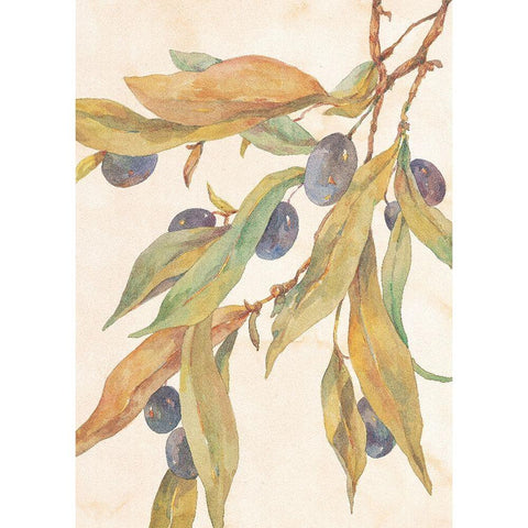 Hanging Olives White Modern Wood Framed Art Print by Unknown