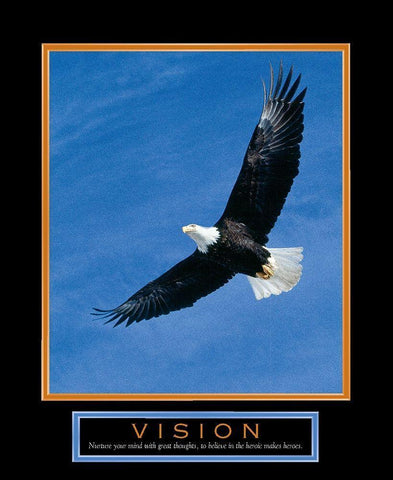 Vision Eagle in Flight White Modern Wood Framed Art Print with Double Matting by Unknown