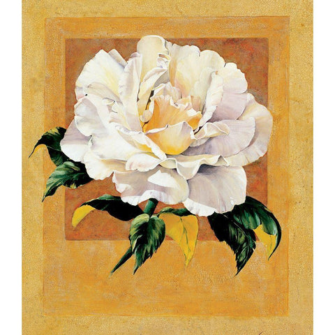 White Rose I Gold Ornate Wood Framed Art Print with Double Matting by Unknown