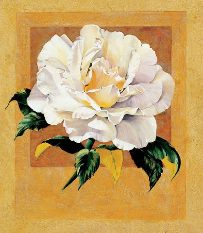 White Rose I Black Ornate Wood Framed Art Print with Double Matting by Unknown