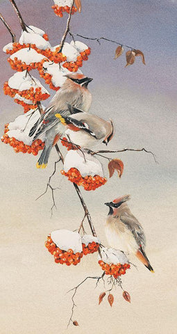 Finch on Perch Black Ornate Wood Framed Art Print with Double Matting by Unknown