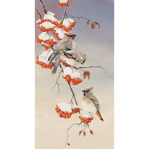 Finch on Perch Black Modern Wood Framed Art Print by Unknown