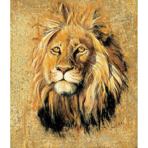 Lion Black Modern Wood Framed Art Print by Unknown