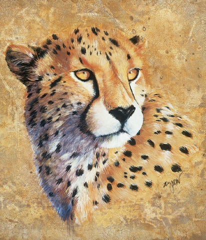 Jaguar White Modern Wood Framed Art Print with Double Matting by Unknown