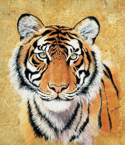 Tiger Black Ornate Wood Framed Art Print with Double Matting by Unknown