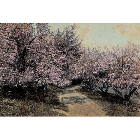 Apple Blossoms I Gold Ornate Wood Framed Art Print with Double Matting by Unknown