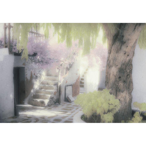 Stairs and Tree Black Modern Wood Framed Art Print with Double Matting by Unknown