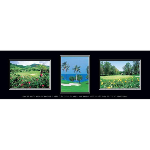 Golf Palms Gold Ornate Wood Framed Art Print with Double Matting by Unknown