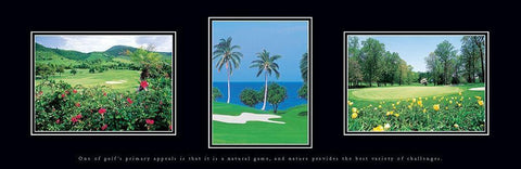 Golf Palms White Modern Wood Framed Art Print with Double Matting by Unknown