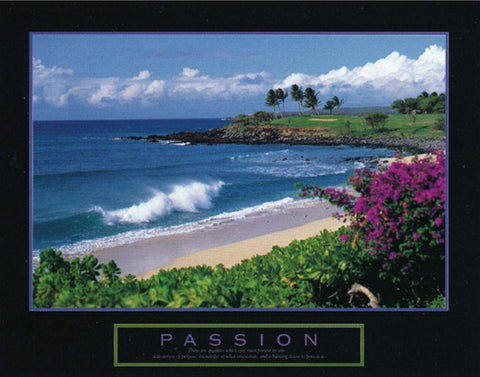 Passion - Beach Black Ornate Wood Framed Art Print with Double Matting by Unknown