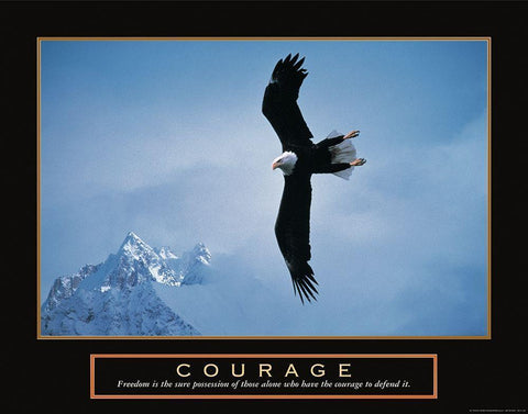 Courage - Eagle Black Ornate Wood Framed Art Print with Double Matting by Unknown