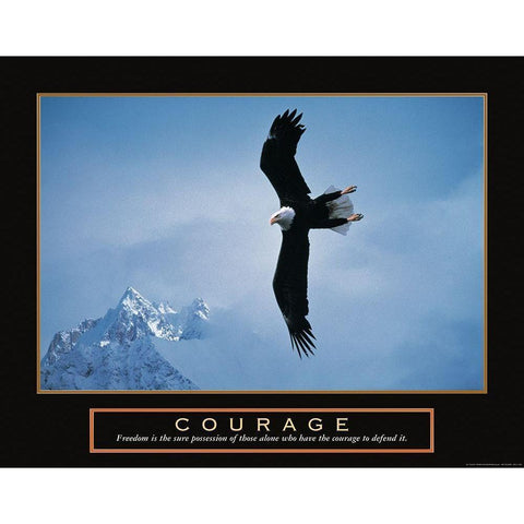 Courage - Eagle Black Modern Wood Framed Art Print by Unknown